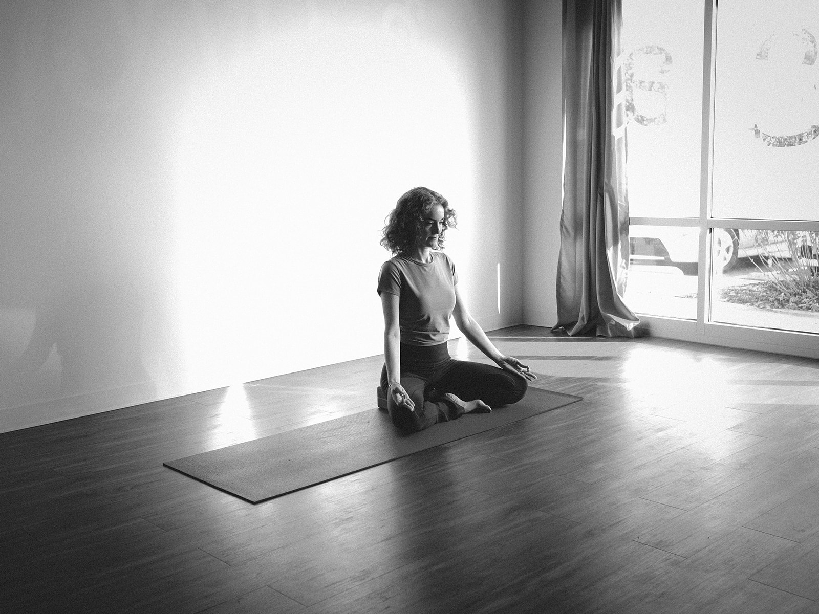 Early Bird Rate: Fundamentals of Teaching Mindfulness Workshop